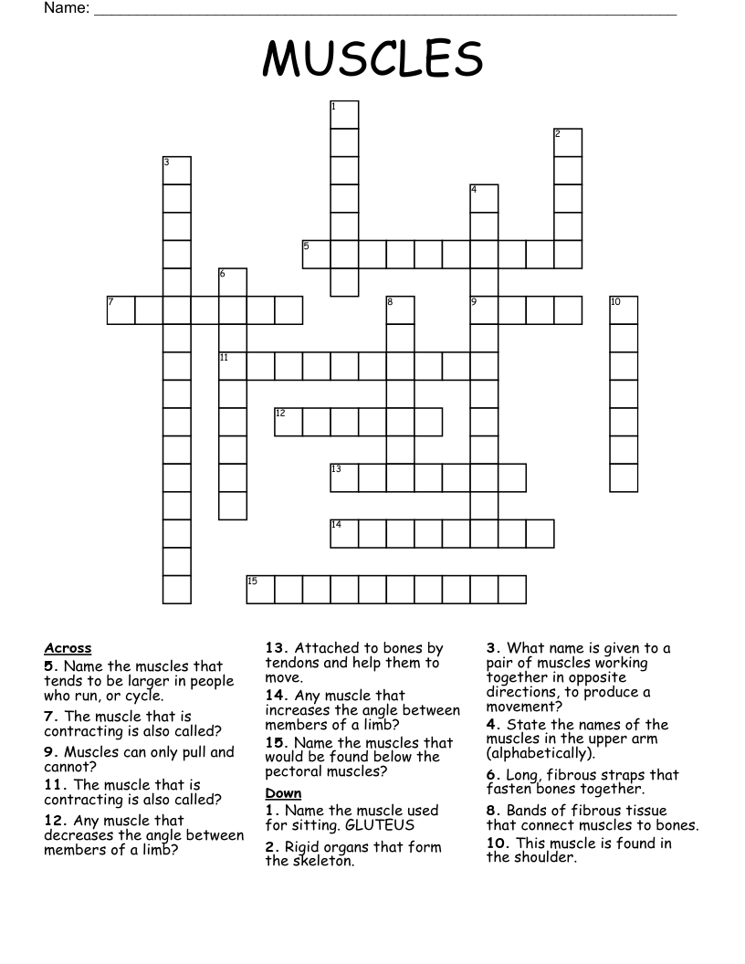 MUSCLES Crossword