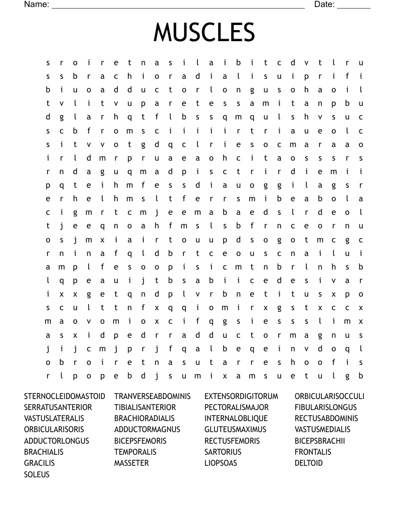 MUSCLES Word Search