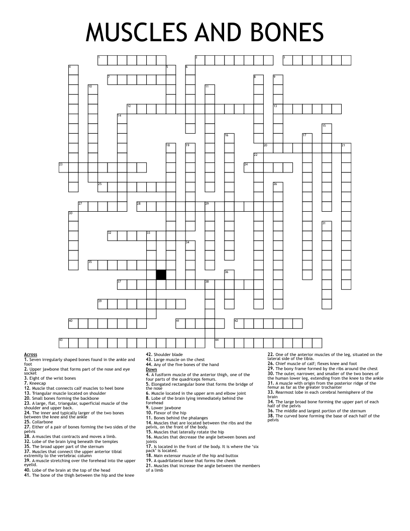 MUSCLES AND BONES Crossword