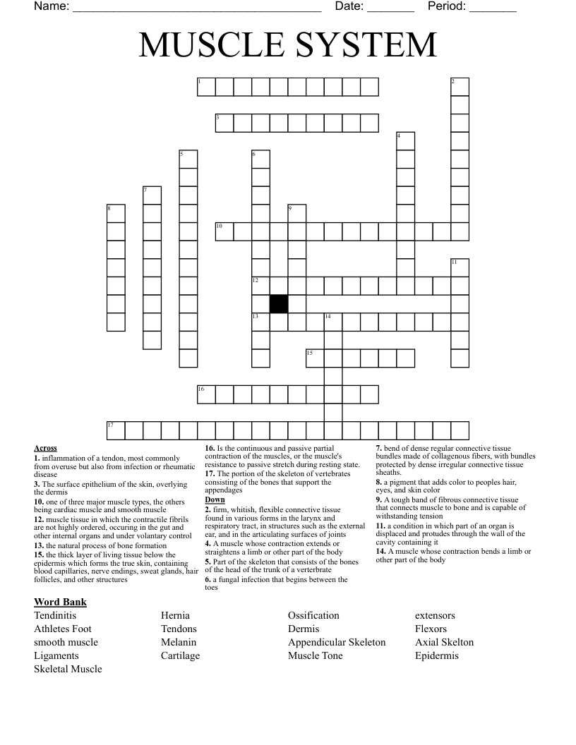 MUSCLE SYSTEM  Crossword