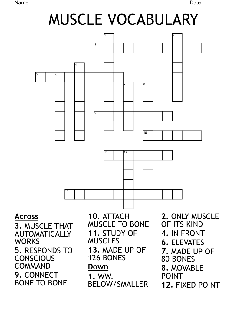 MUSCLE VOCABULARY Crossword
