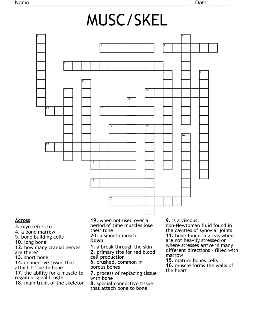 MUSC/SKEL Crossword