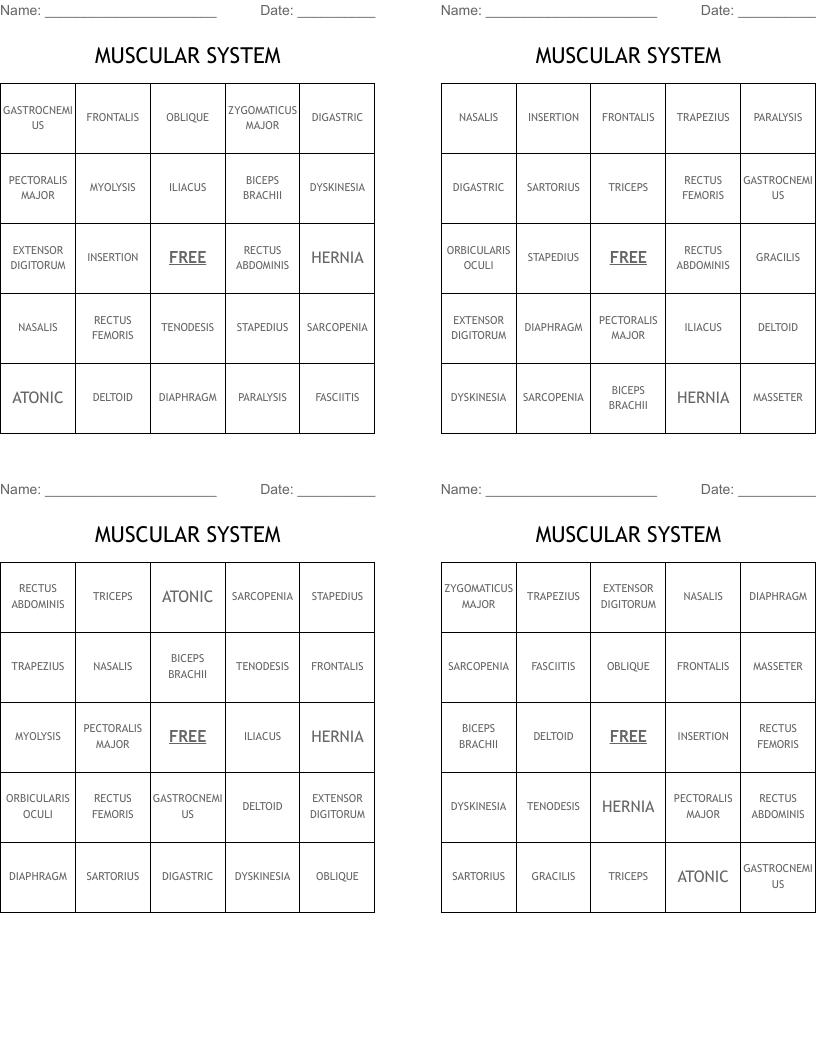 MUSCULAR SYSTEM Bingo Cards