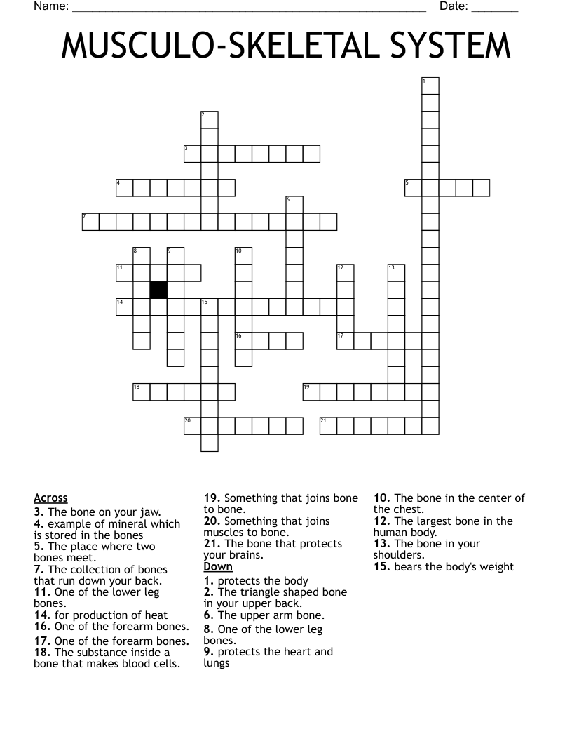 MUSCULO-SKELETAL SYSTEM Crossword