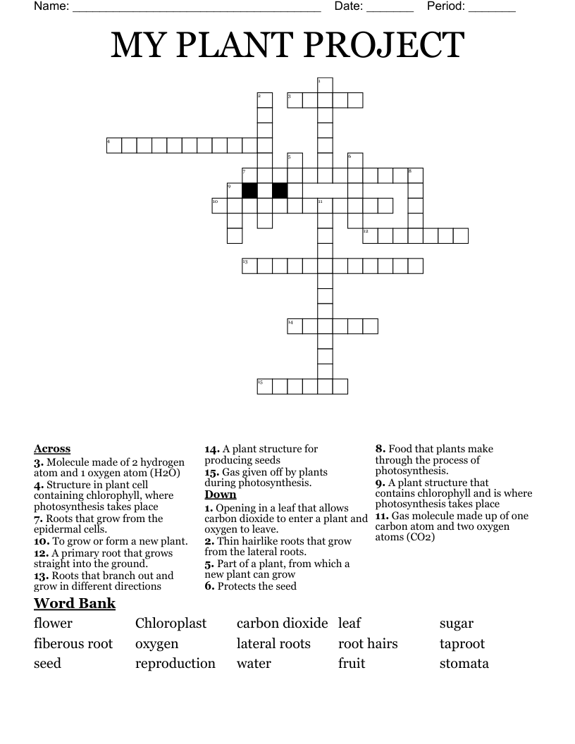 MY PLANT PROJECT Crossword