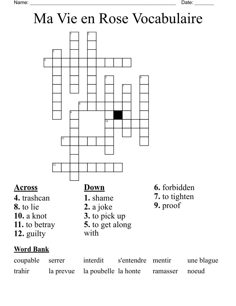 Ma Vie en Rose Vocabulaire Crossword