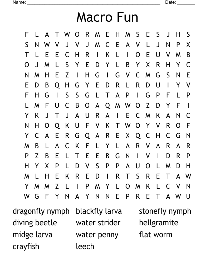 Macro Fun Word Search