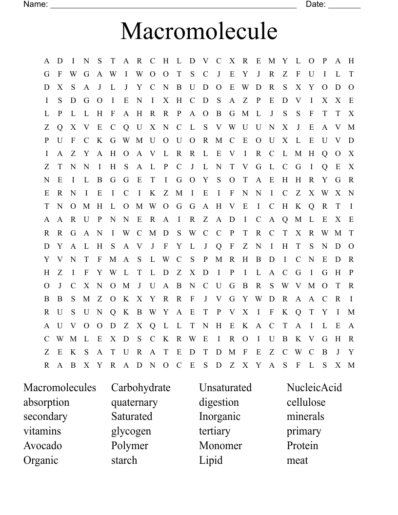 Macromolecule Word Search