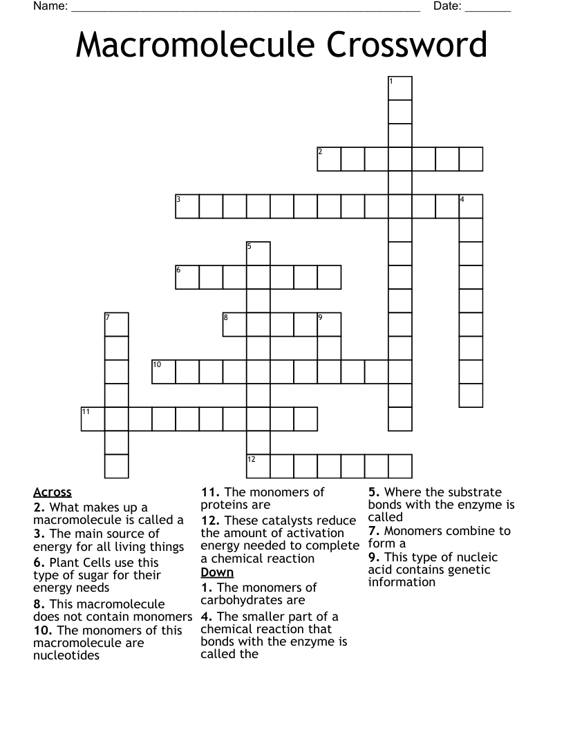 Macromolecule Crossword
