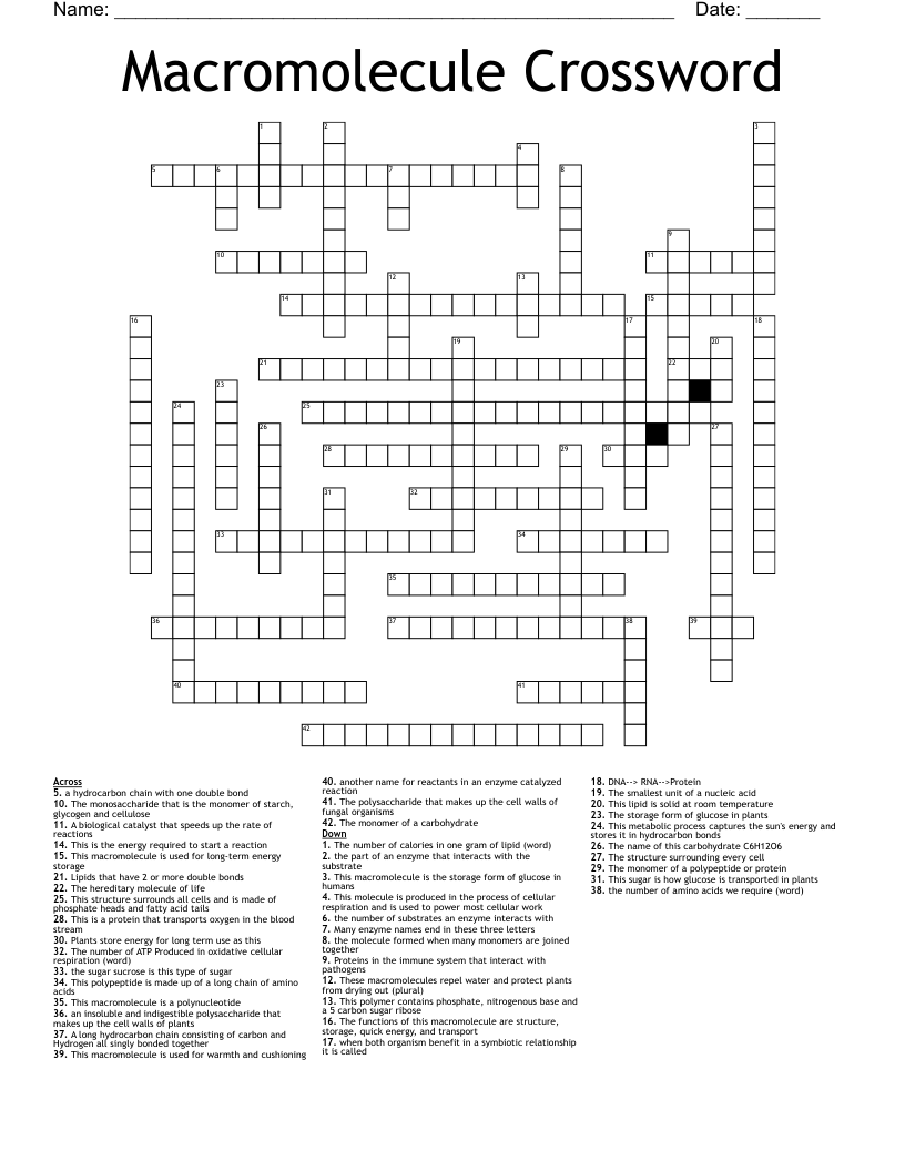 Macromolecule Crossword