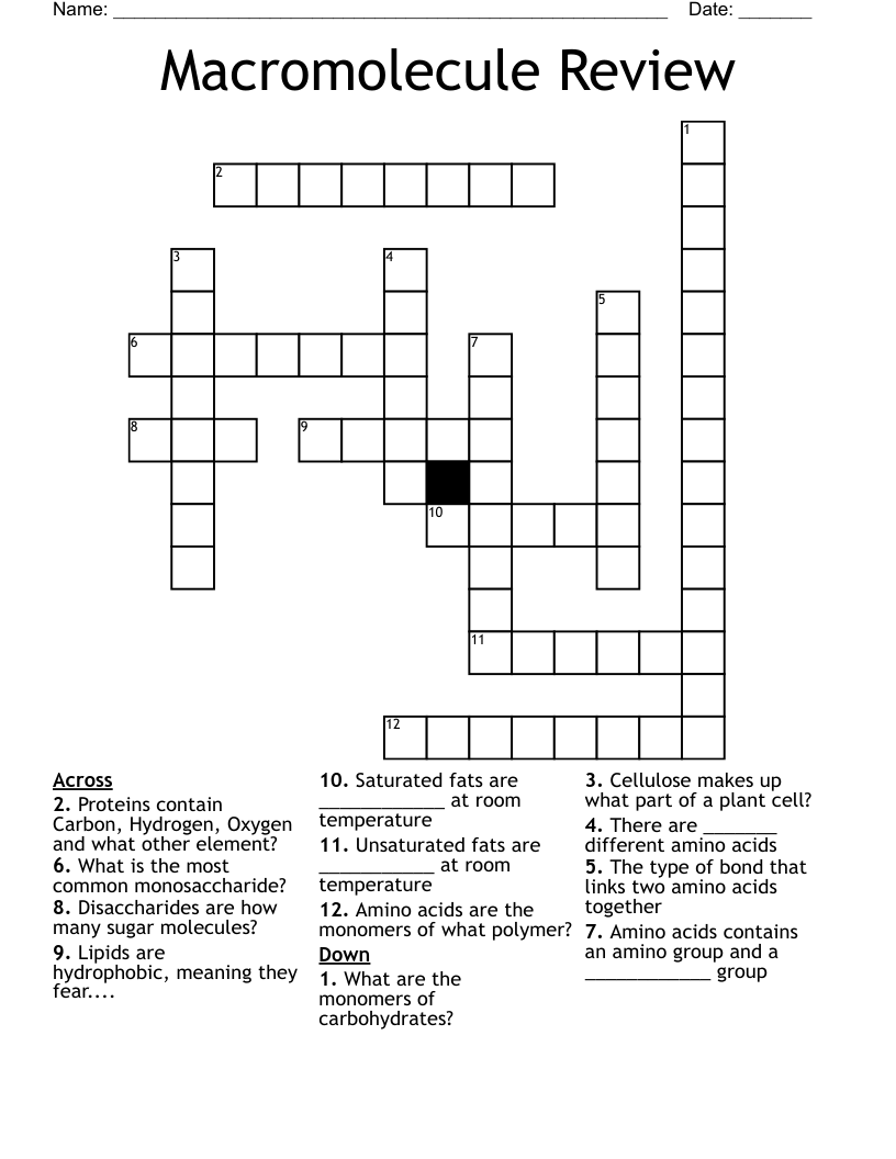 Macromolecule Review  Crossword