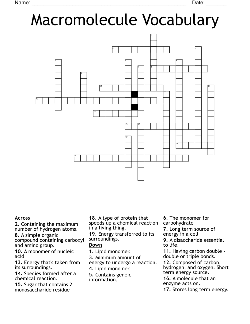 Macromolecule Vocabulary Crossword