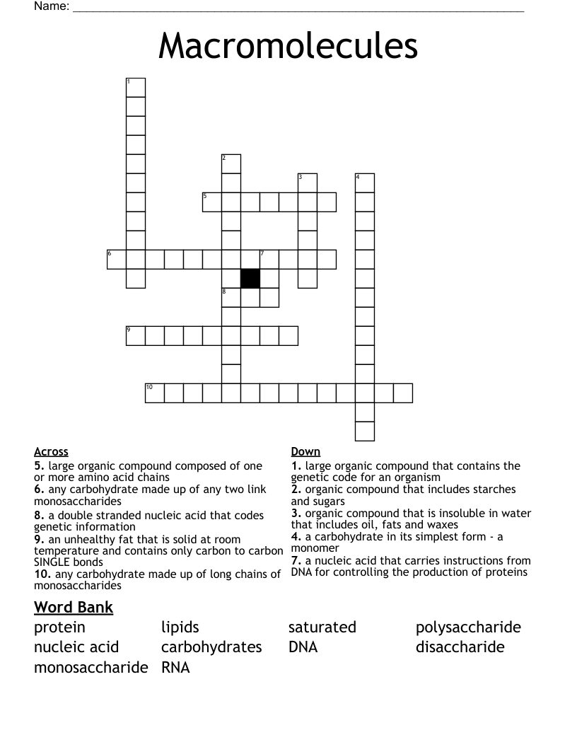 Macromolecules Crossword