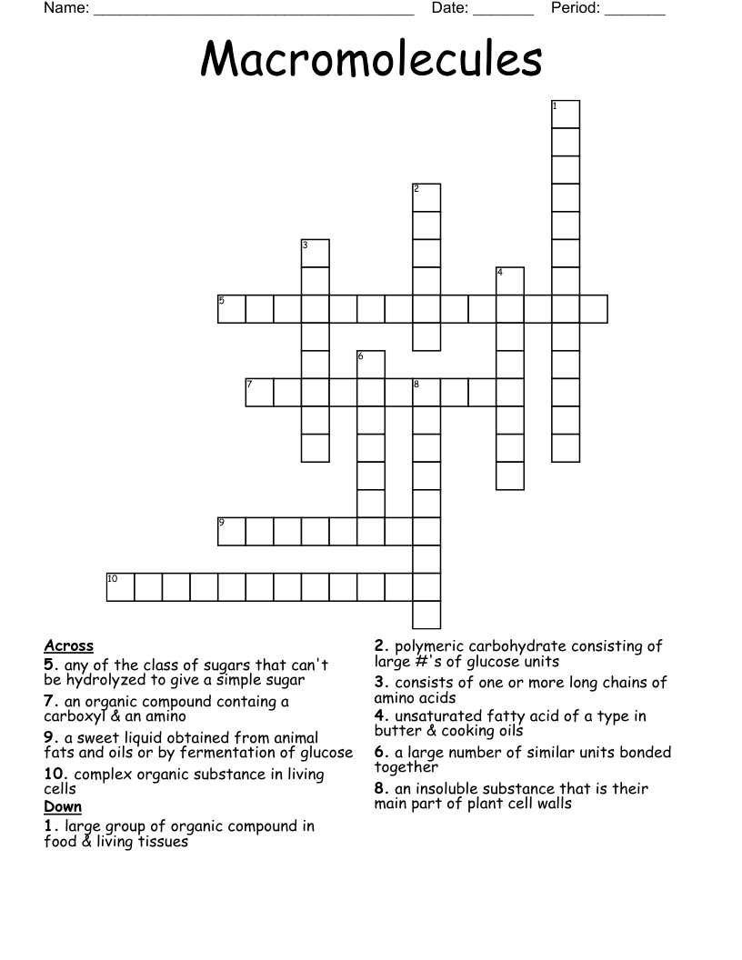 Macromolecules Crossword