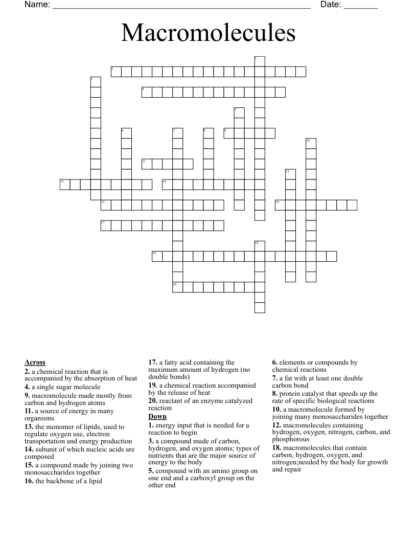 Macromolecules Crossword