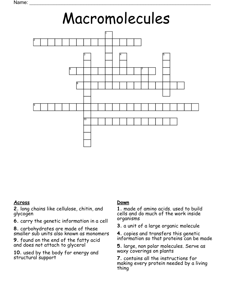 Macromolecules Crossword