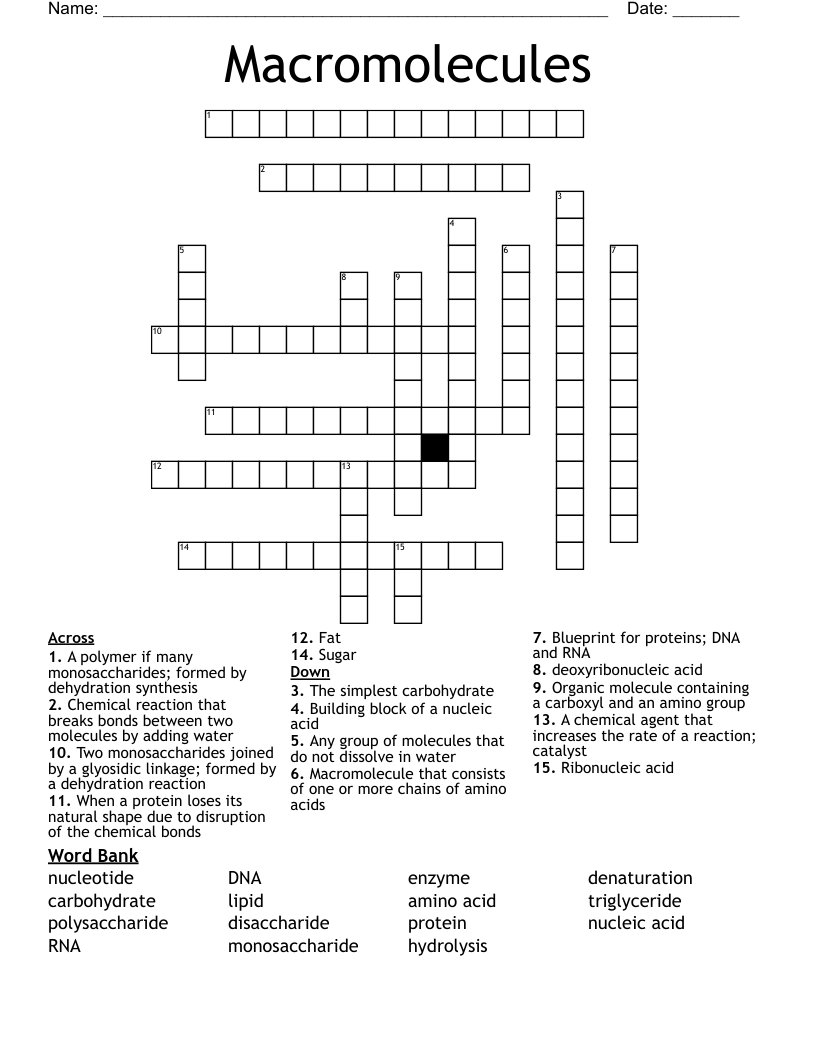 Macromolecules Crossword