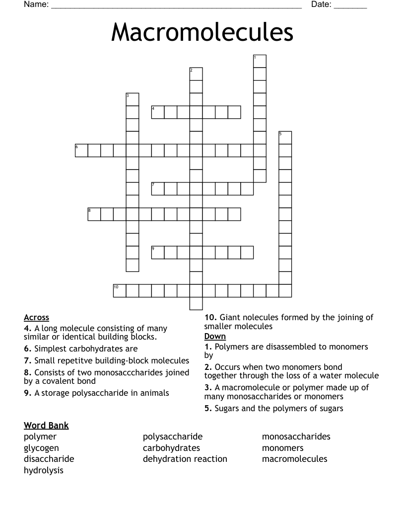 Macromolecules Crossword