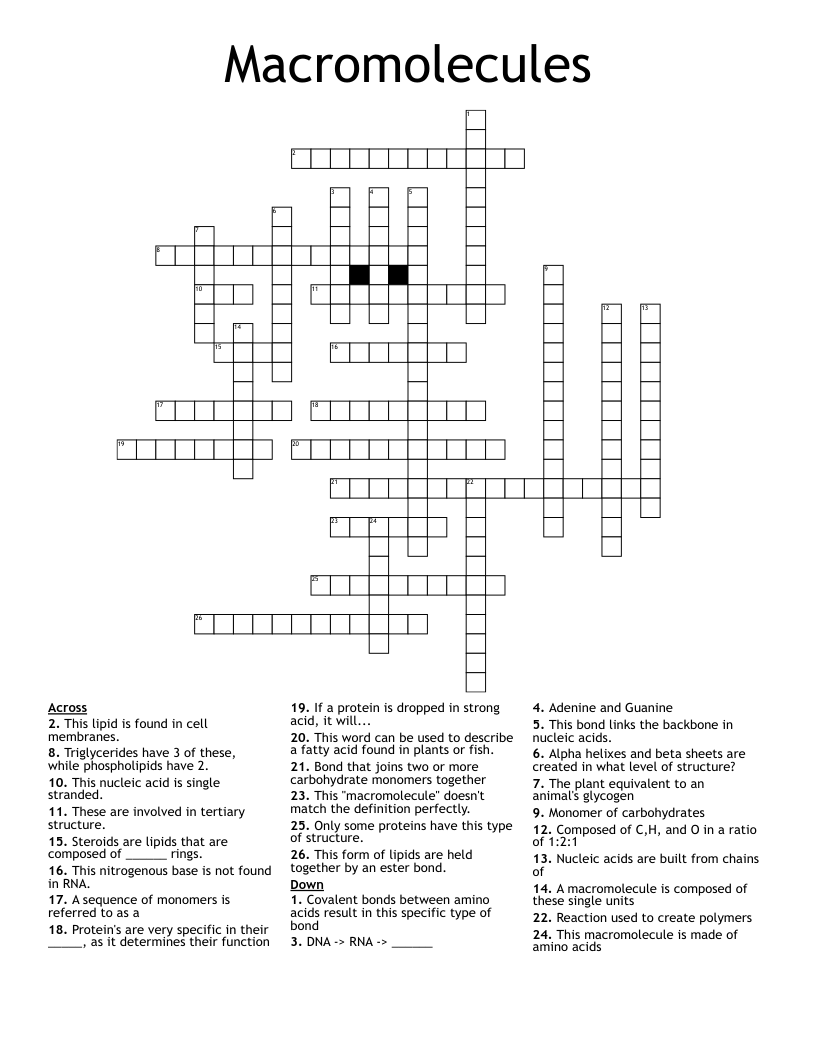 Macromolecules Crossword