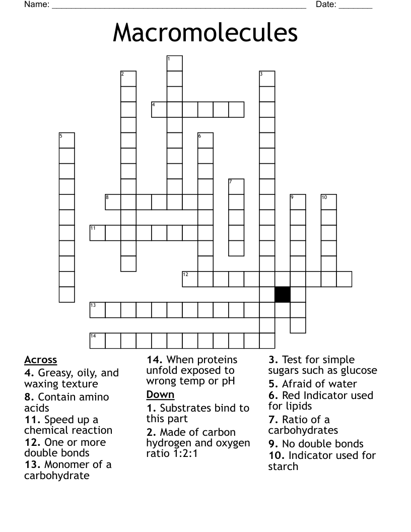 Macromolecules Crossword