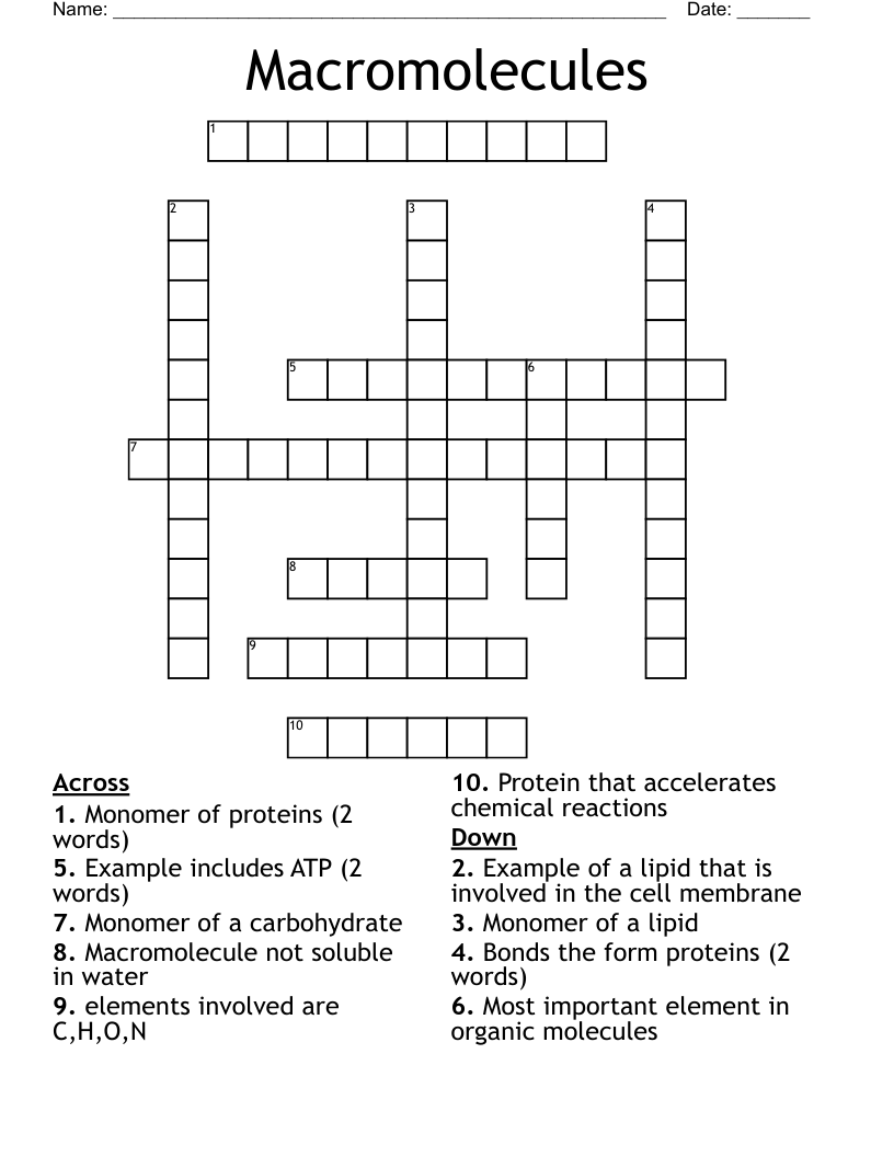 Macromolecules Crossword