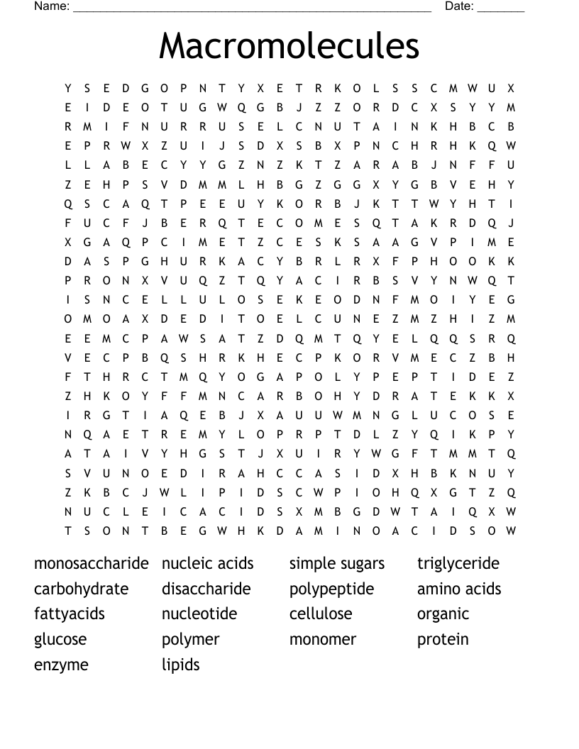 Macromolecules Word Search