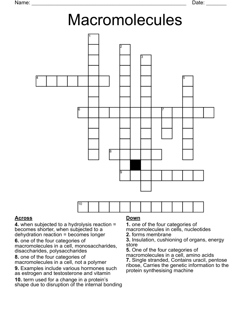 Macromolecules Crossword