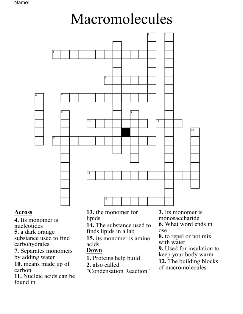Macromolecules Crossword