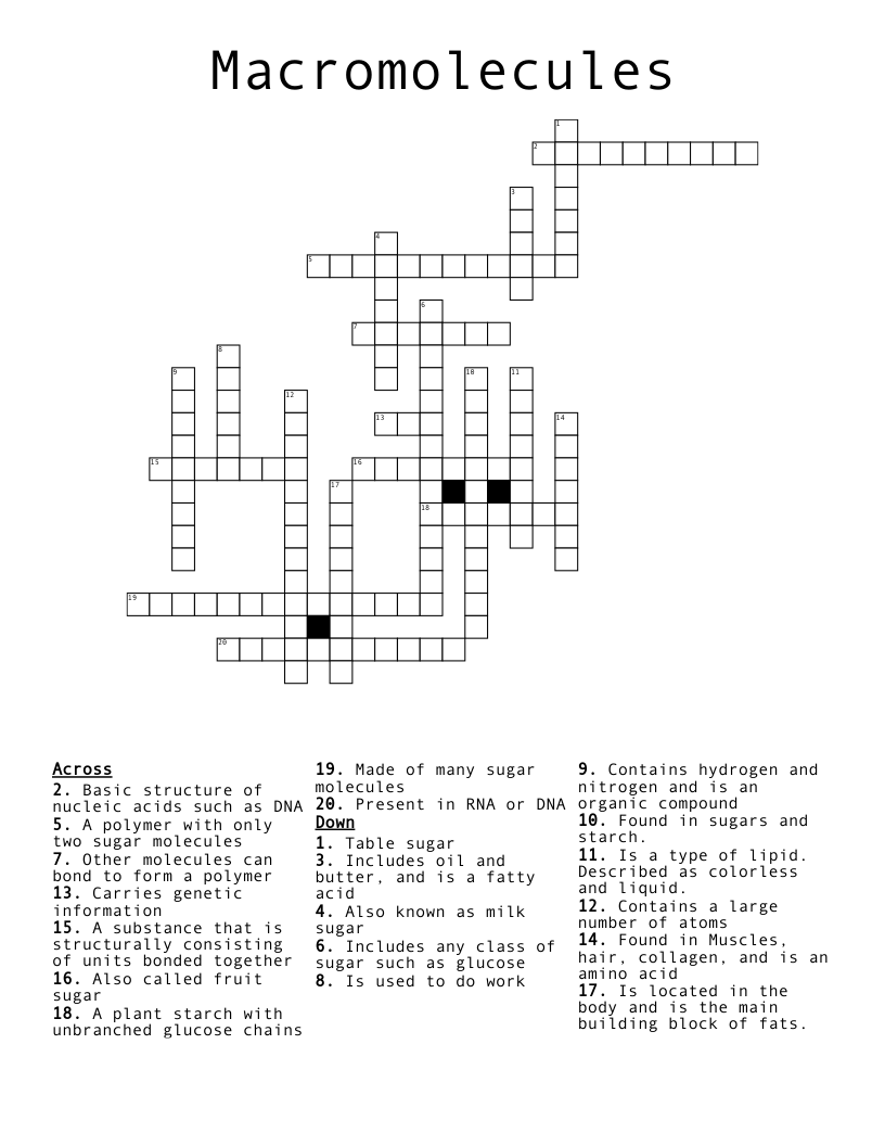 Macromolecules Crossword