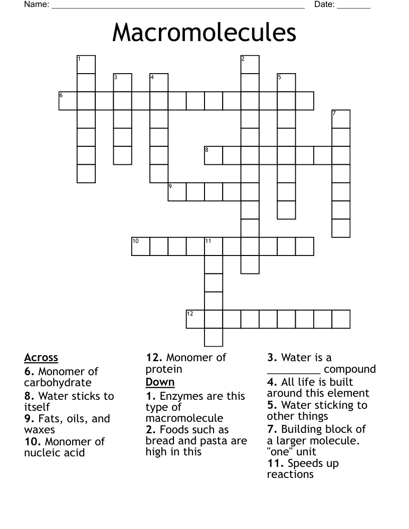 Macromolecules Crossword