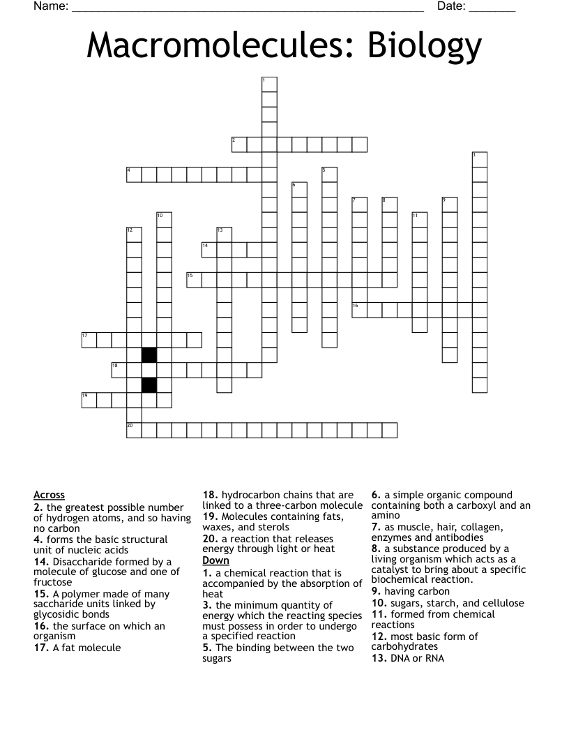 Macromolecules: Biology Crossword
