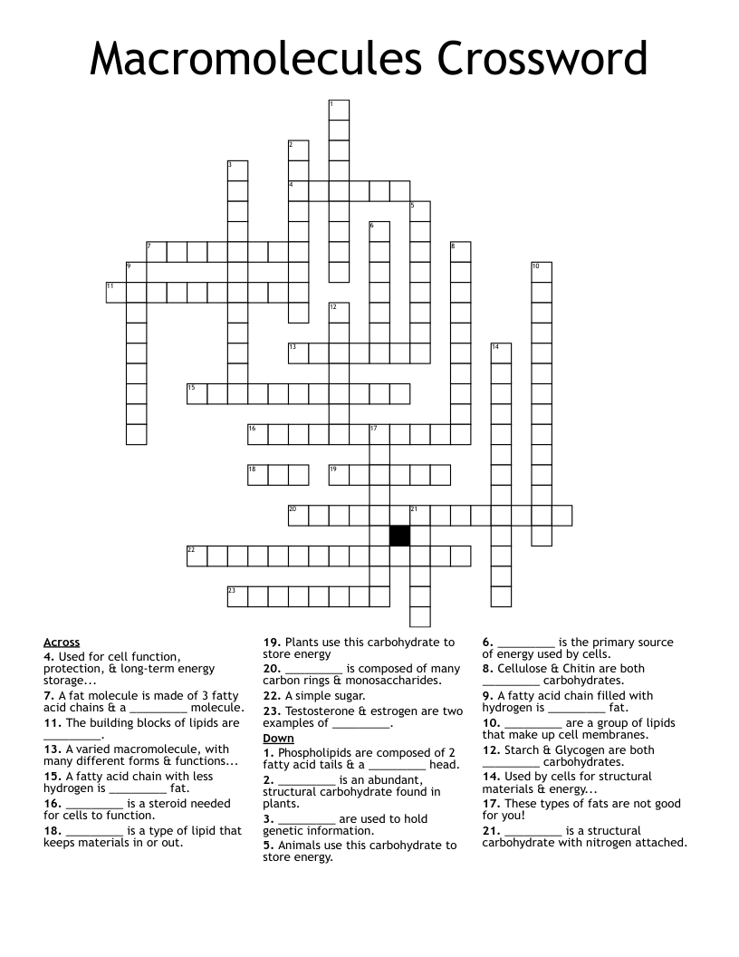 Macromolecules Crossword