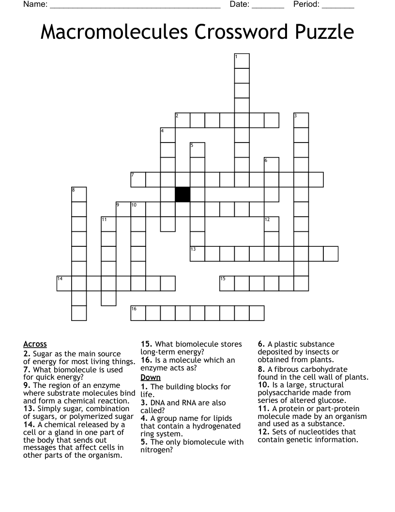 Macromolecules Crossword Puzzle