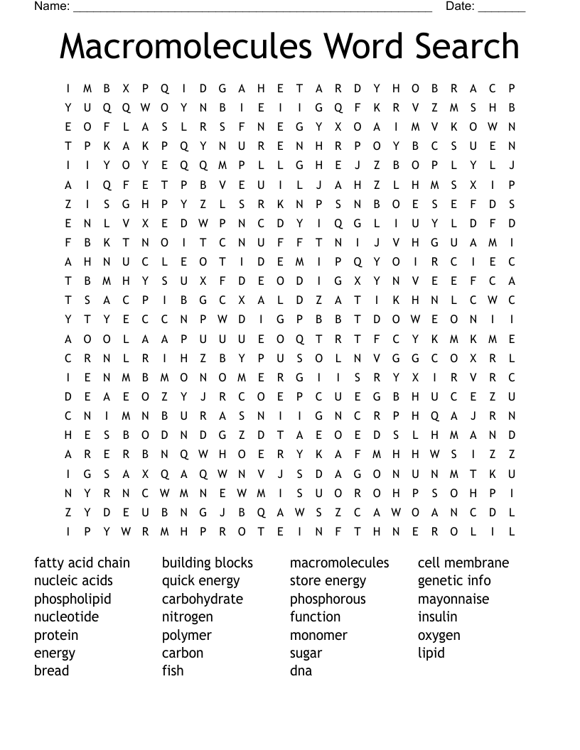 Macromolecules Word Search
