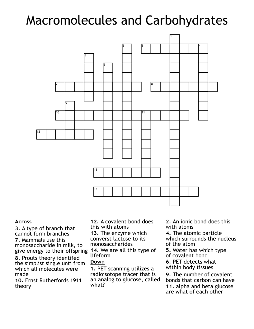 Macromolecules and Carbohydrates Crossword