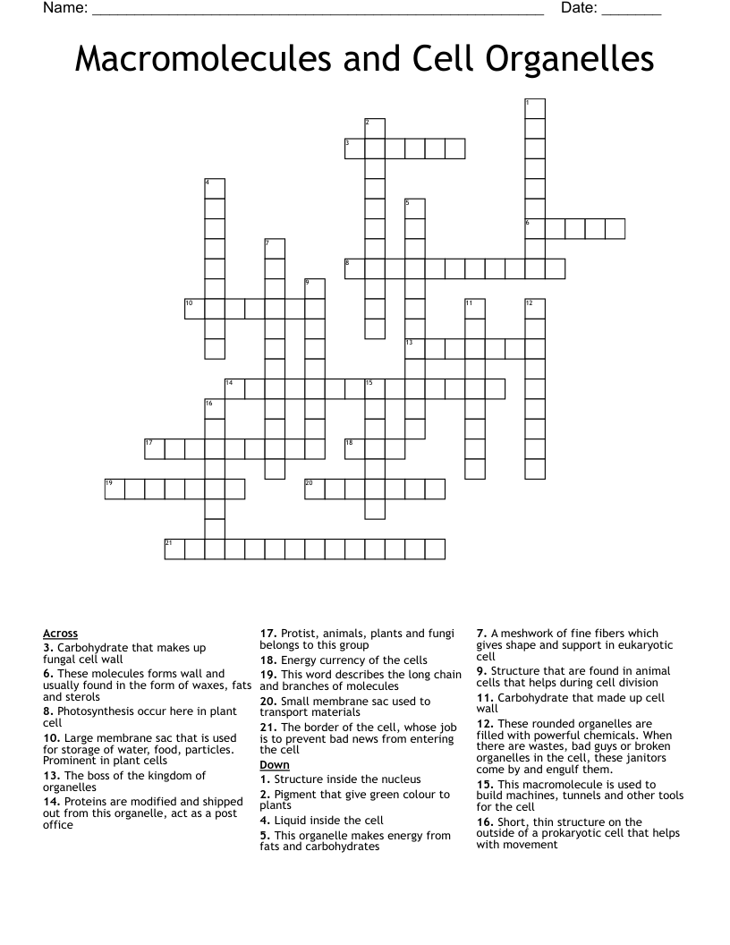 Macromolecules and Cell Organelles Crossword