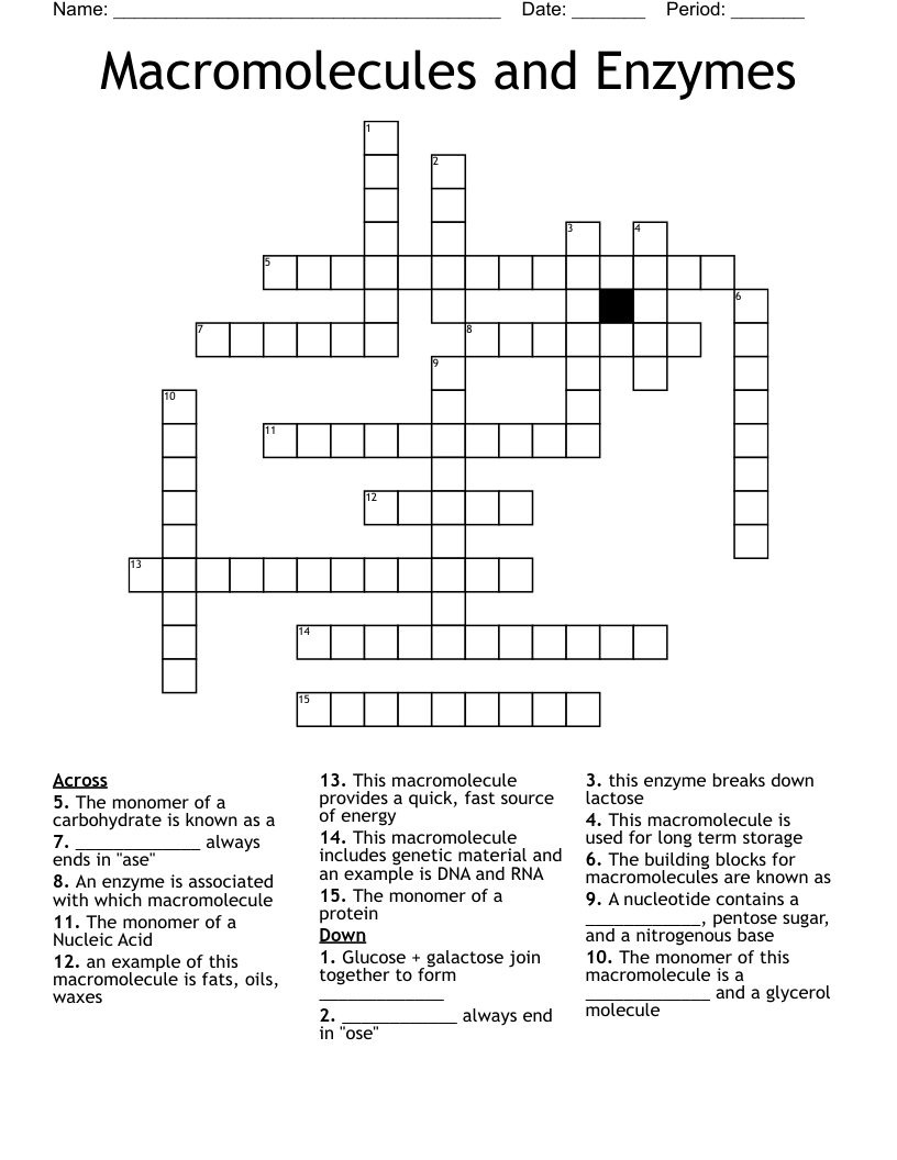 Macromolecules and Enzymes  Crossword