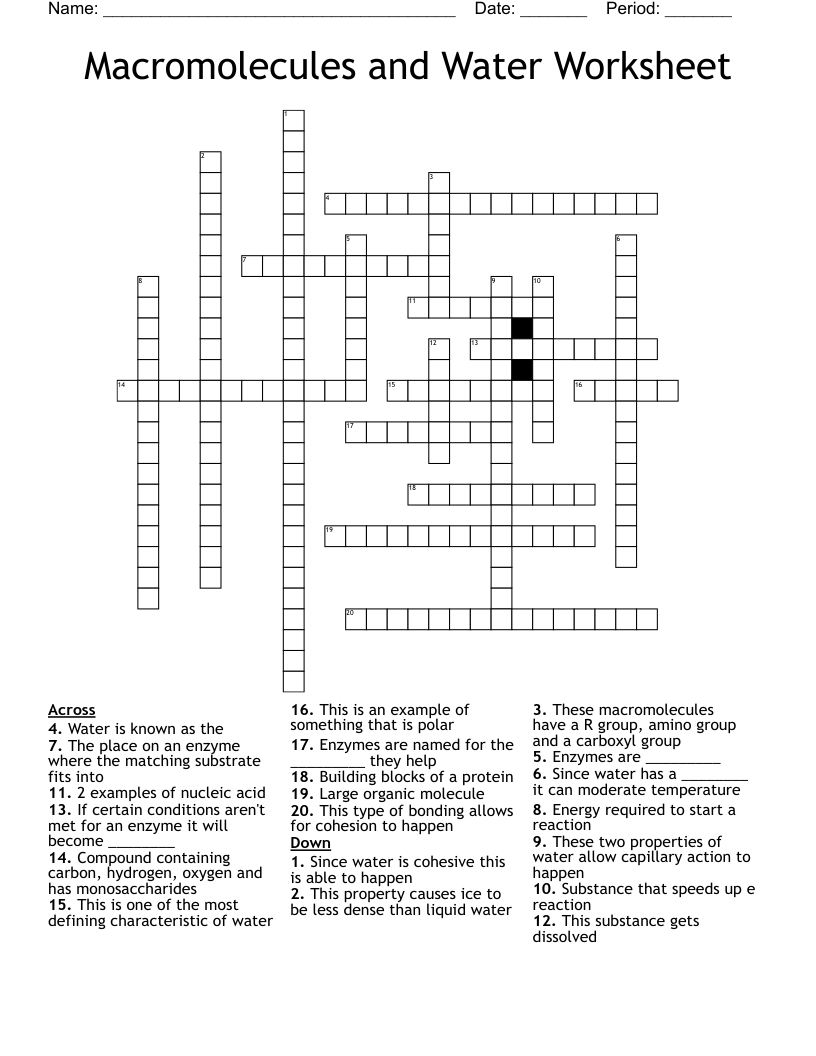 Macromolecules and Water Worksheet Crossword