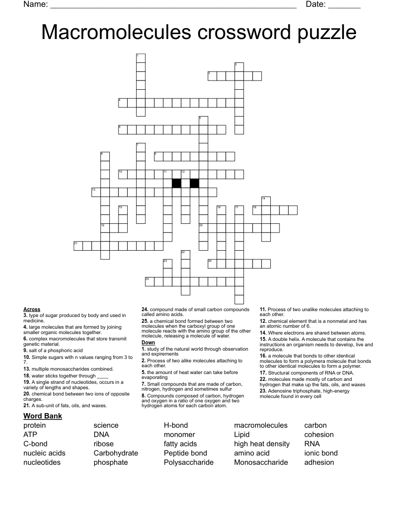 Macromolecules crossword puzzle