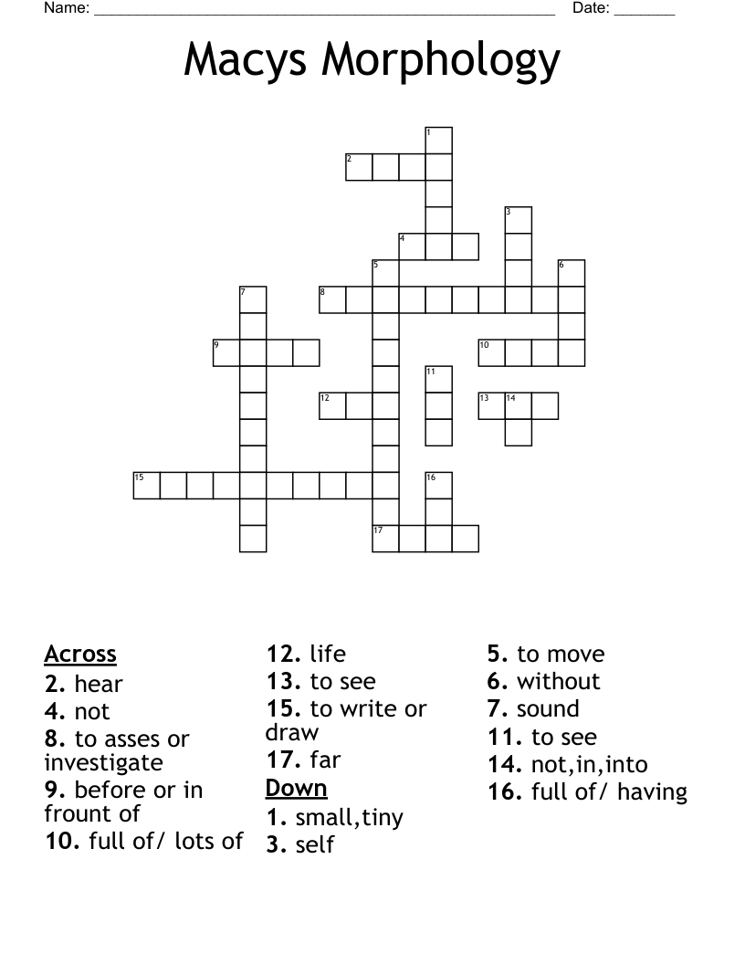 Macys Morphology Crossword