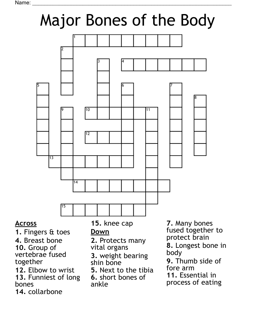 Major Bones of the Body Crossword