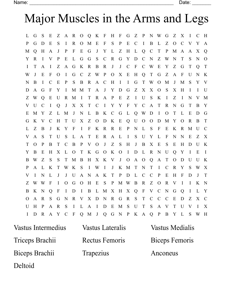 Major Muscles in the Arms and Legs Word Search