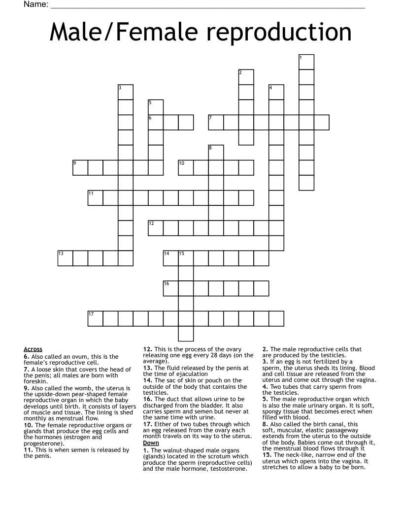 Male/Female reproduction Crossword