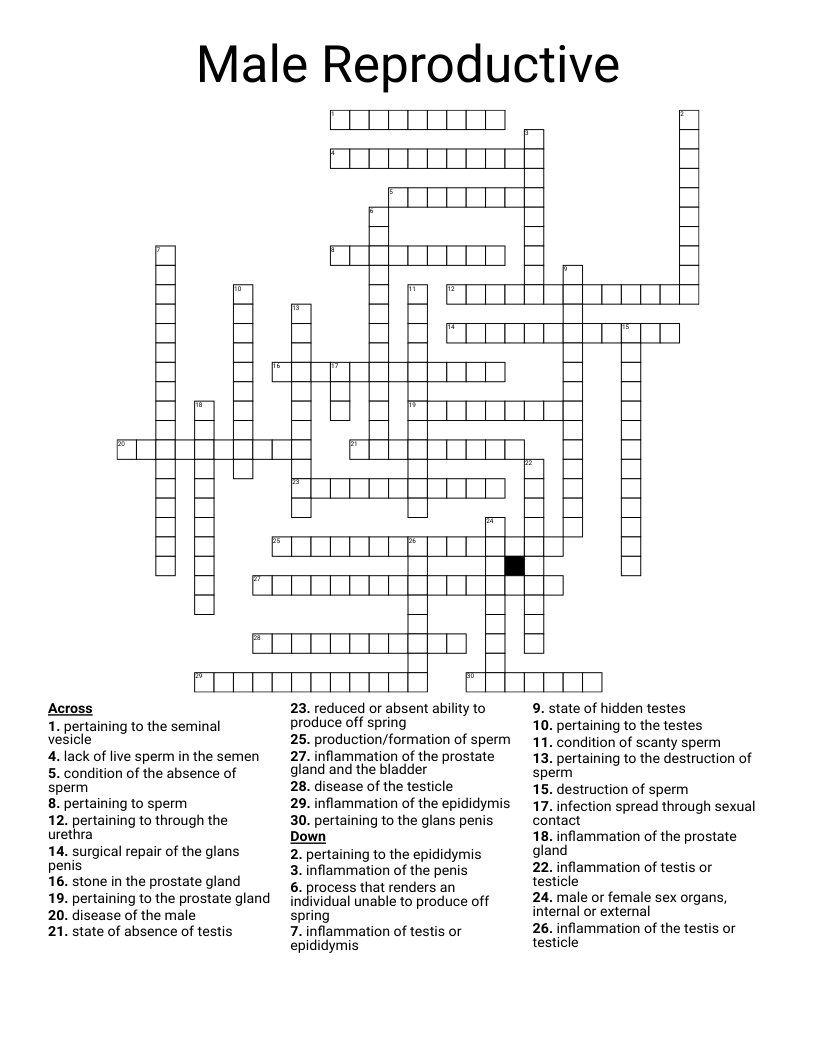 Male Reproductive Crossword
