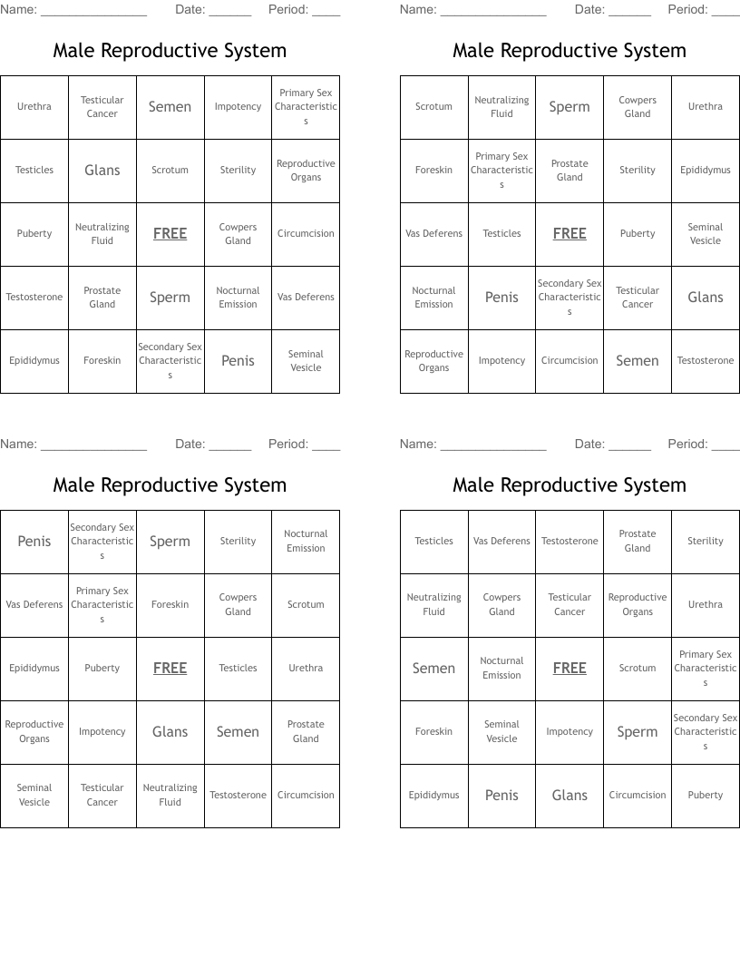 Male Reproductive System Bingo Cards