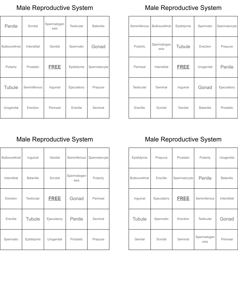 Male Reproductive System Bingo Cards