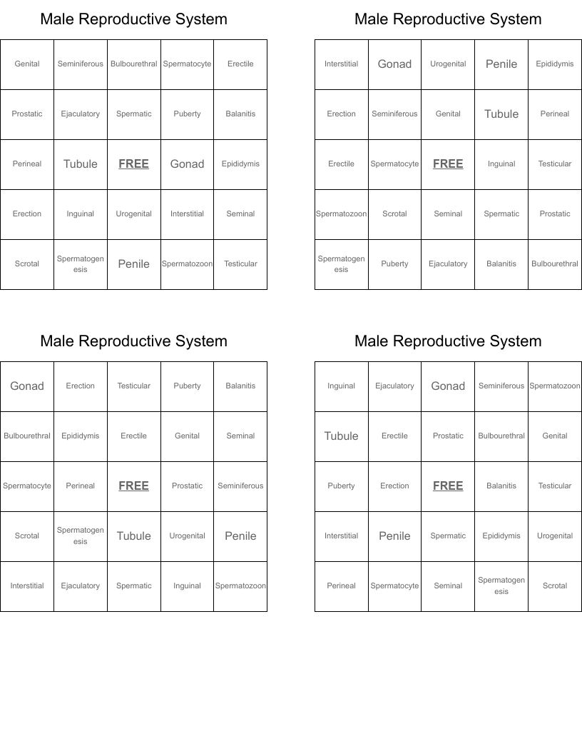 Male Reproductive System Bingo Cards