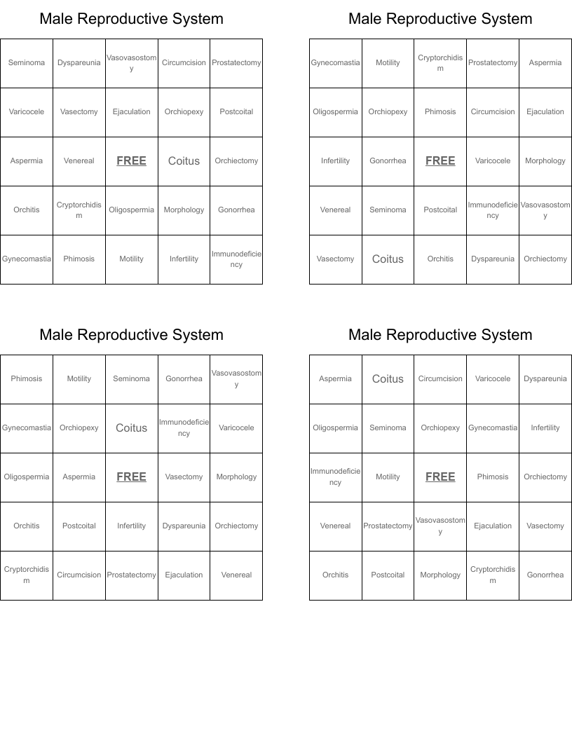 Male Reproductive System Bingo Cards
