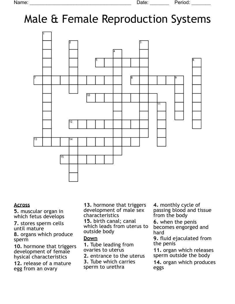 Male & Female Reproduction Systems Crossword