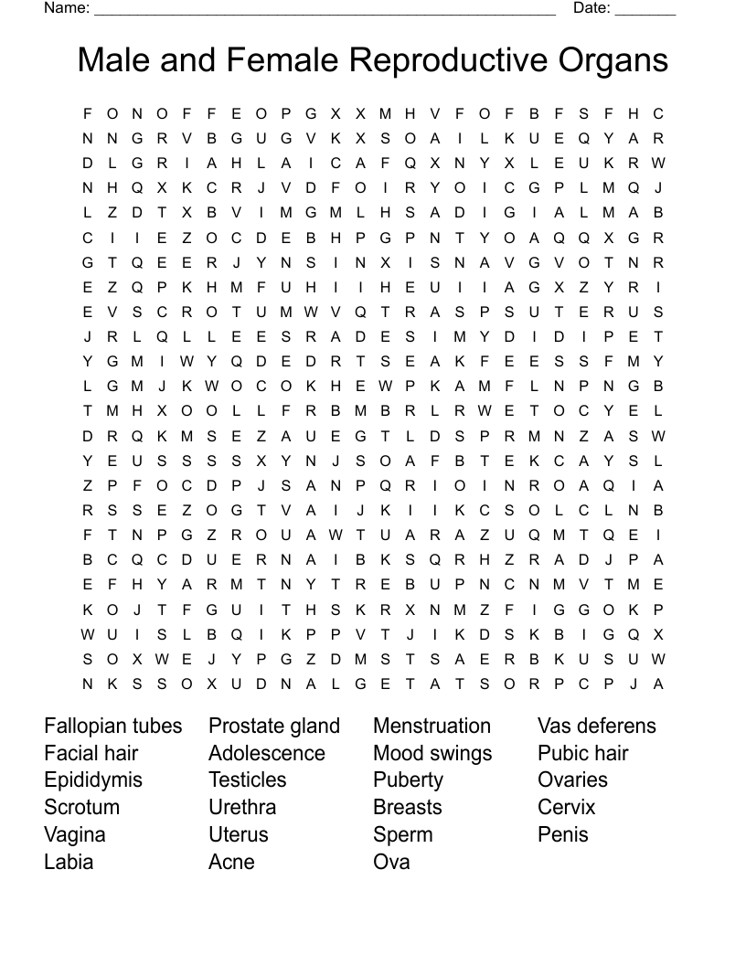 Male and Female Reproductive Organs Word Search